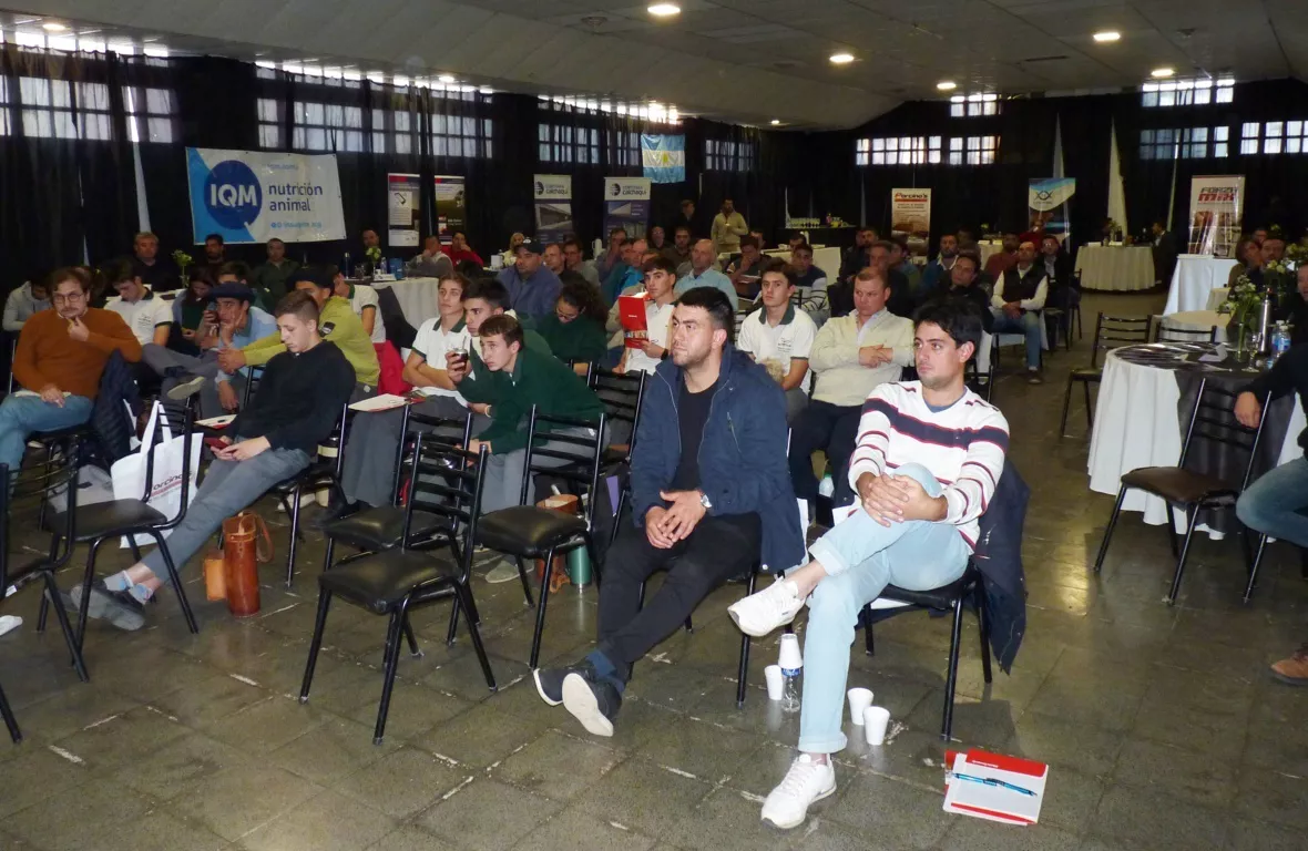 porcinos 3 (FILEminimizer)