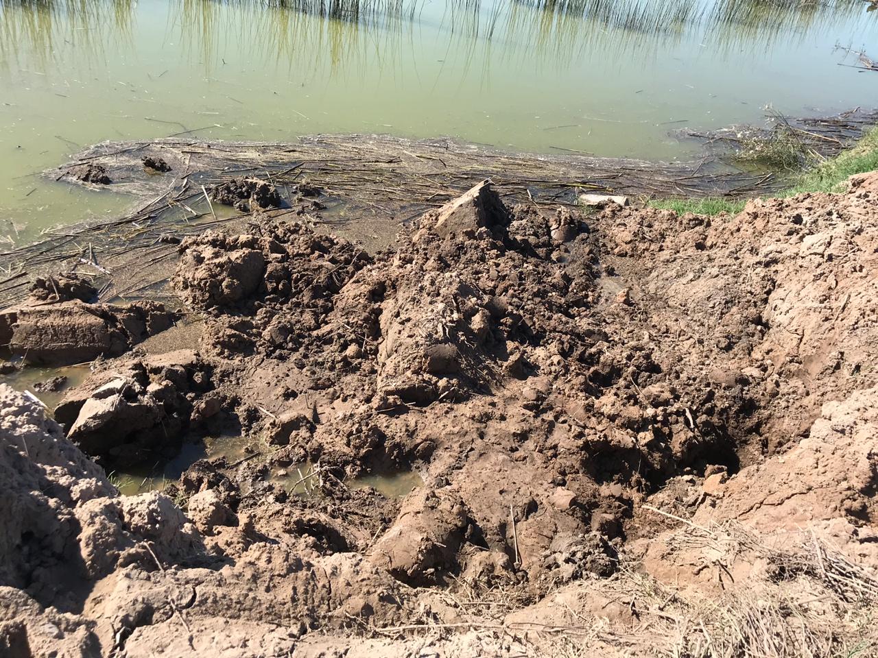 d8409d13-e4db-4bf4-8278-74b5d1409c3c