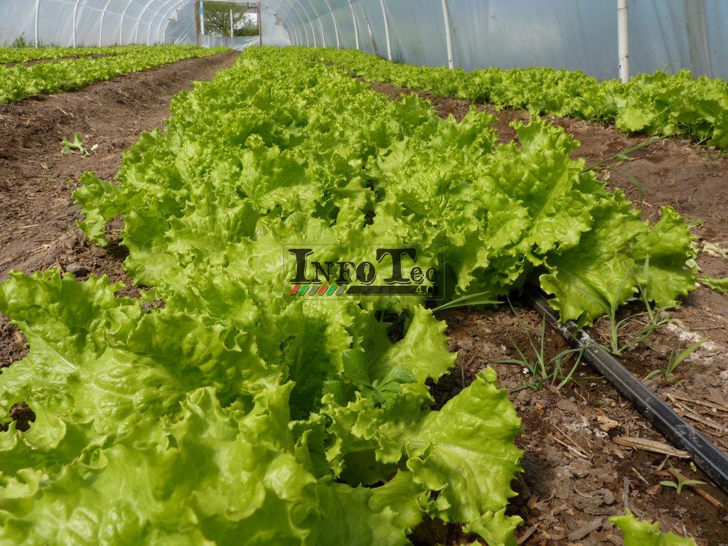 P1280329 (FILEminimizer)