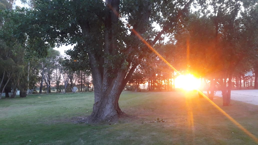 235af2bb-2bb0-465c-bad3-d46b43043f7b