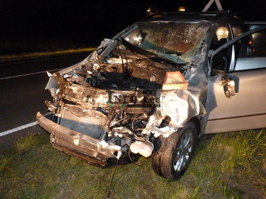 P1200737 (FILEminimizer)