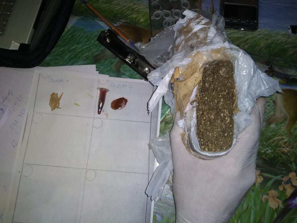 WhatsApp-Image-2019-11-02-at-19.17.50