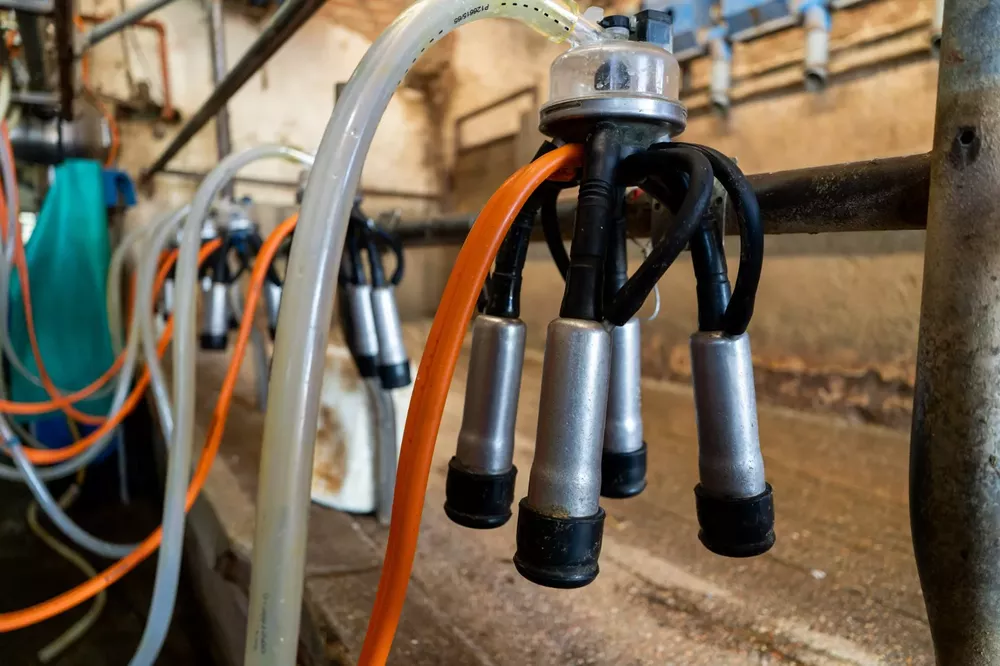 364789_whatsapp-image-2023-02-22-at-19.25.24