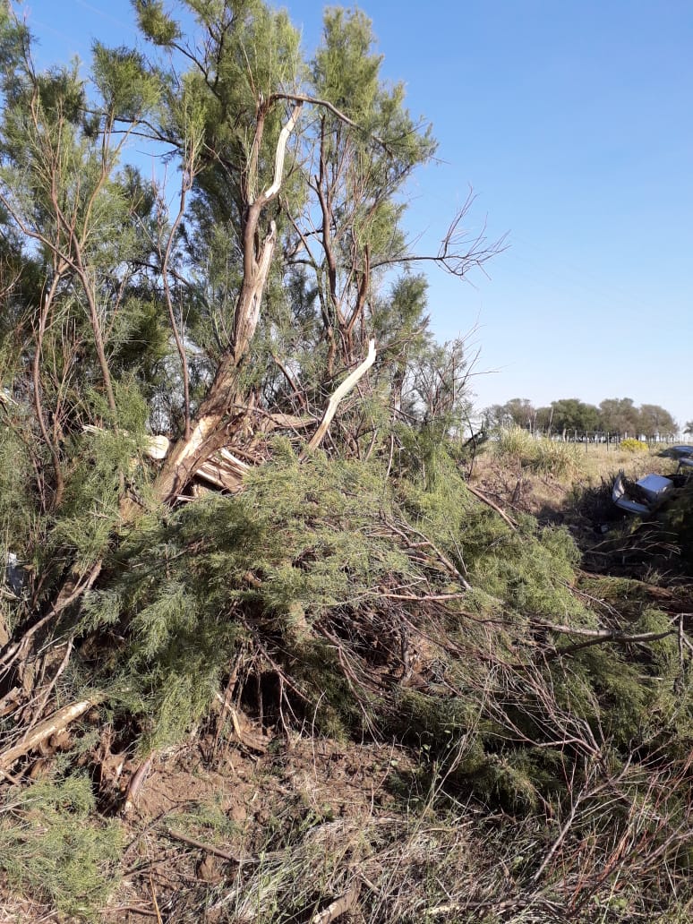 268a08a6-5e12-47b0-89d0-26d1f01b7c3e