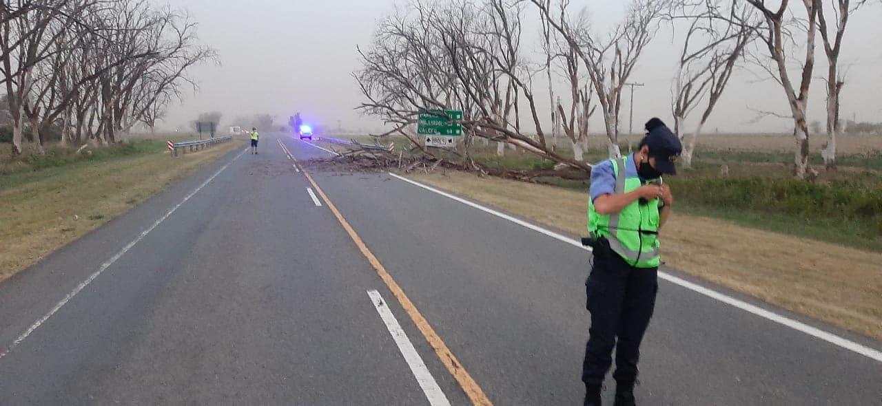 131296641_3838260816185562_2115193080635073120_o