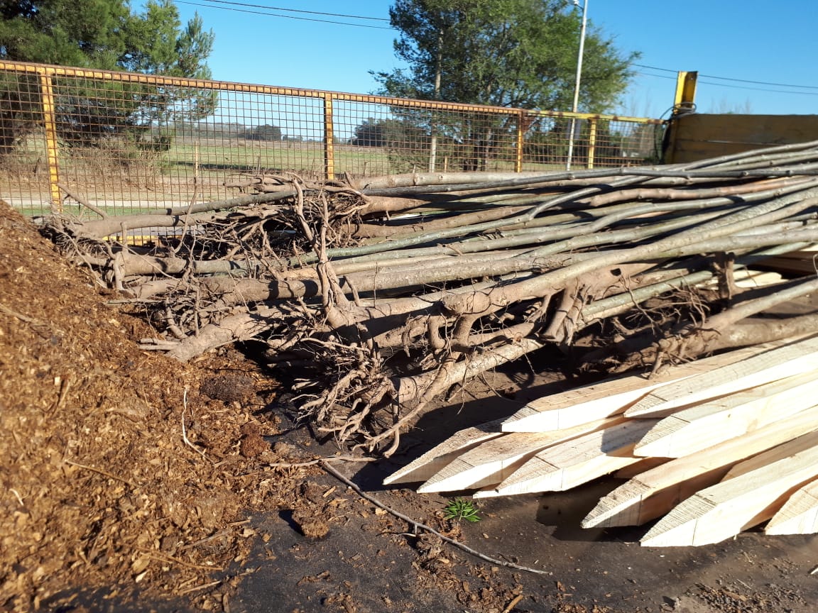 c2a68b24-7b3d-402b-b69c-c7a51d79f818