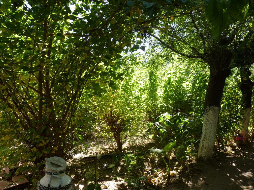 P1350702 (FILEminimizer)