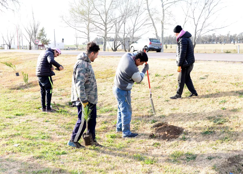 plantación acceso 1