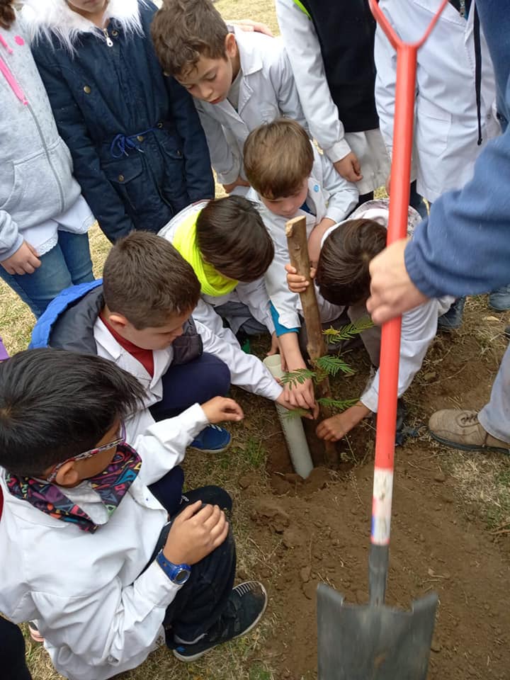 69150916_2636237886387867_6766040991330729984_n