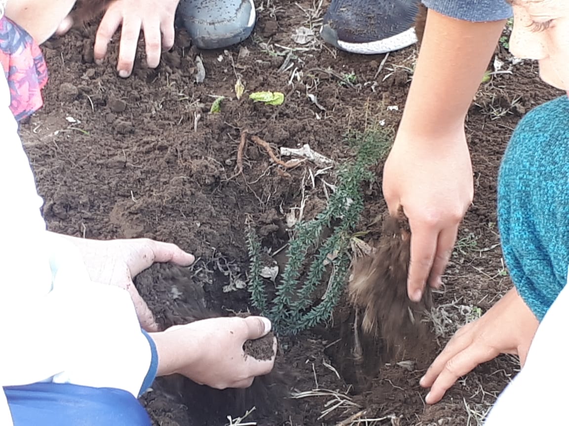 94c33a65-e63a-4008-9116-1f5a0f4abb6c