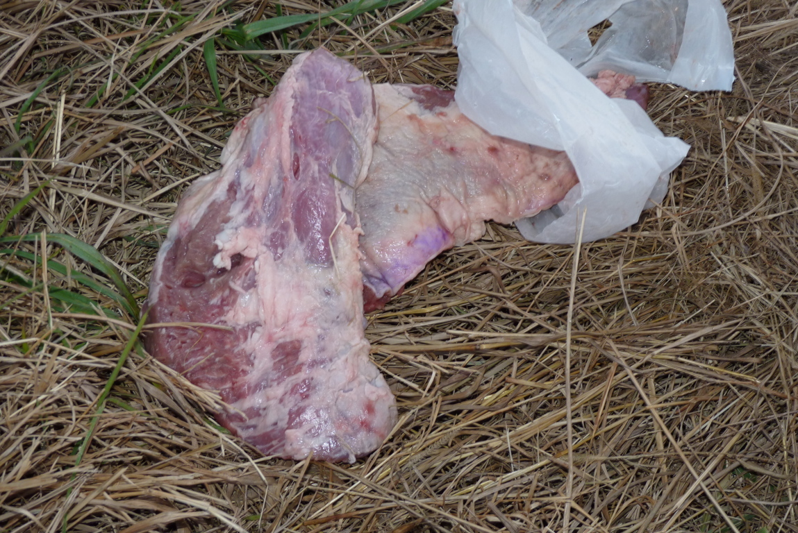 P1410001 (FILEminimizer)