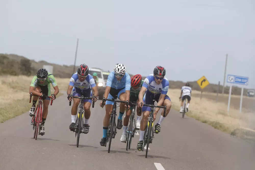 409081_araucania311217