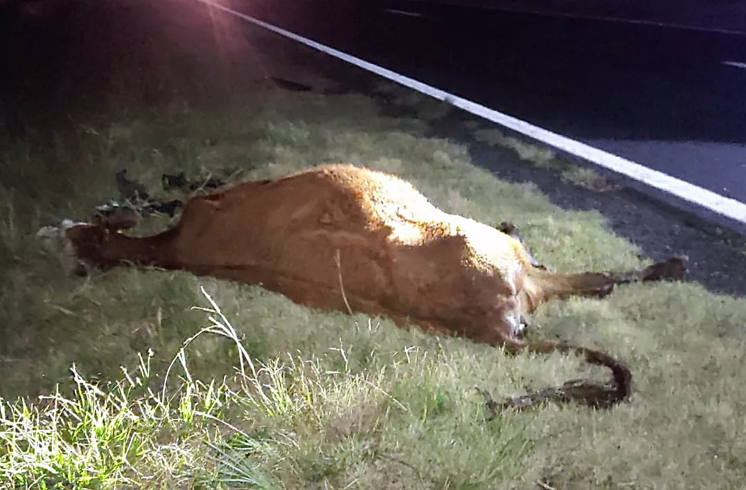 1944d25c-be64-4fd1-bc6b-870a9957501b