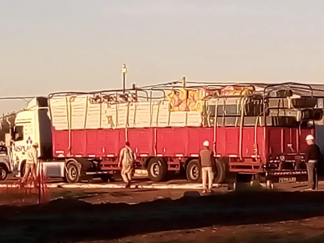 caldenia artefactos caldenia artefactos