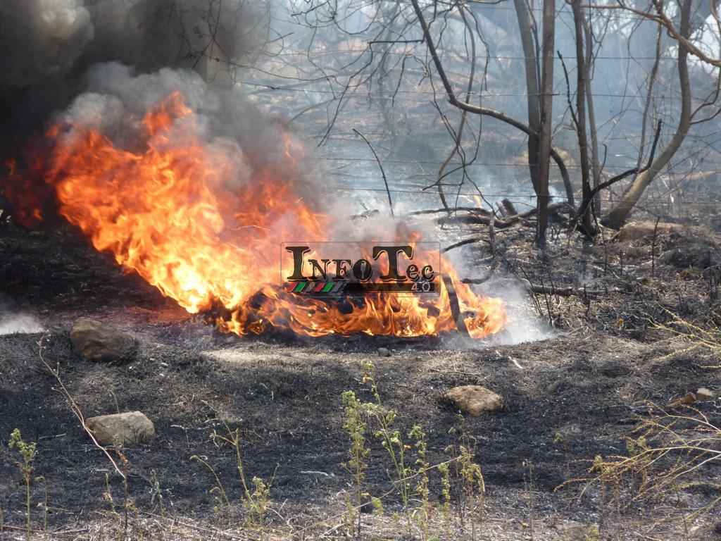 P1320310 (FILEminimizer)