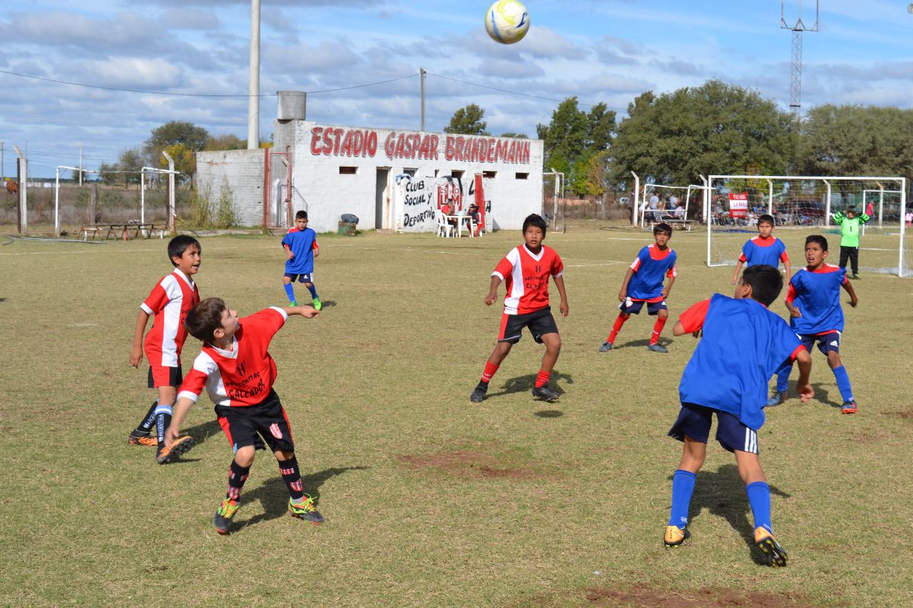 7dfa1901-b7cc-4415-a6fc-dada9161ab7f