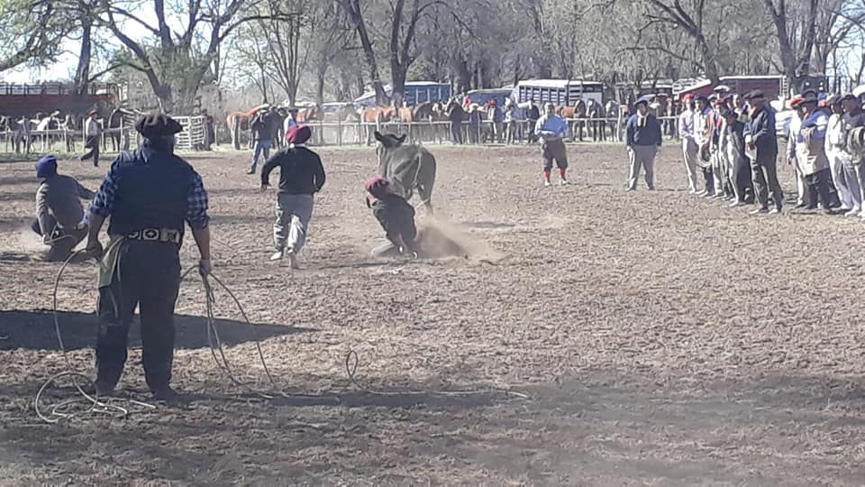 69470024_2642846449060344_8952868519742013440_n