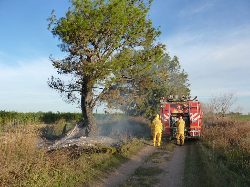 P1360682 (FILEminimizer)