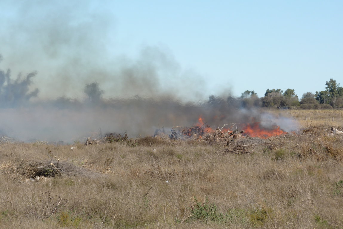 P1380298 (FILEminimizer)