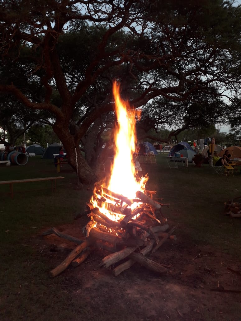 70fb8344-af70-4762-acd8-5549c2f3f542