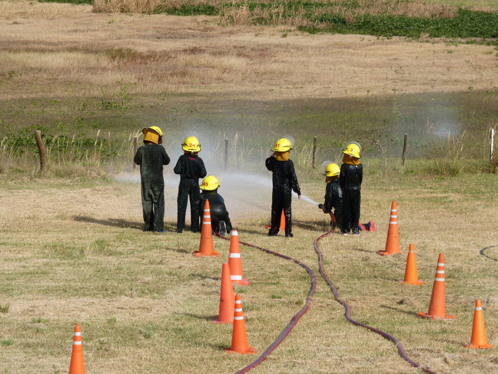 P1340965 (FILEminimizer)