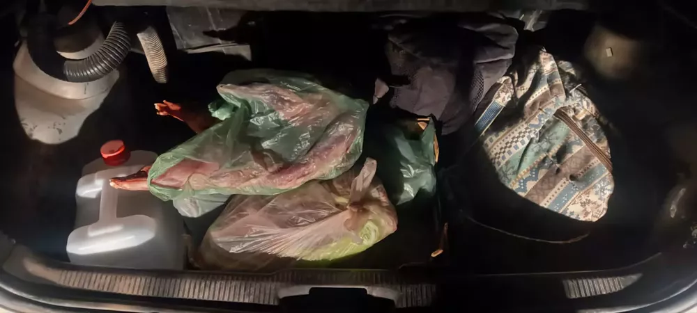 97492_whatsapp-image-2023-03-09-at-08.46.15--1-