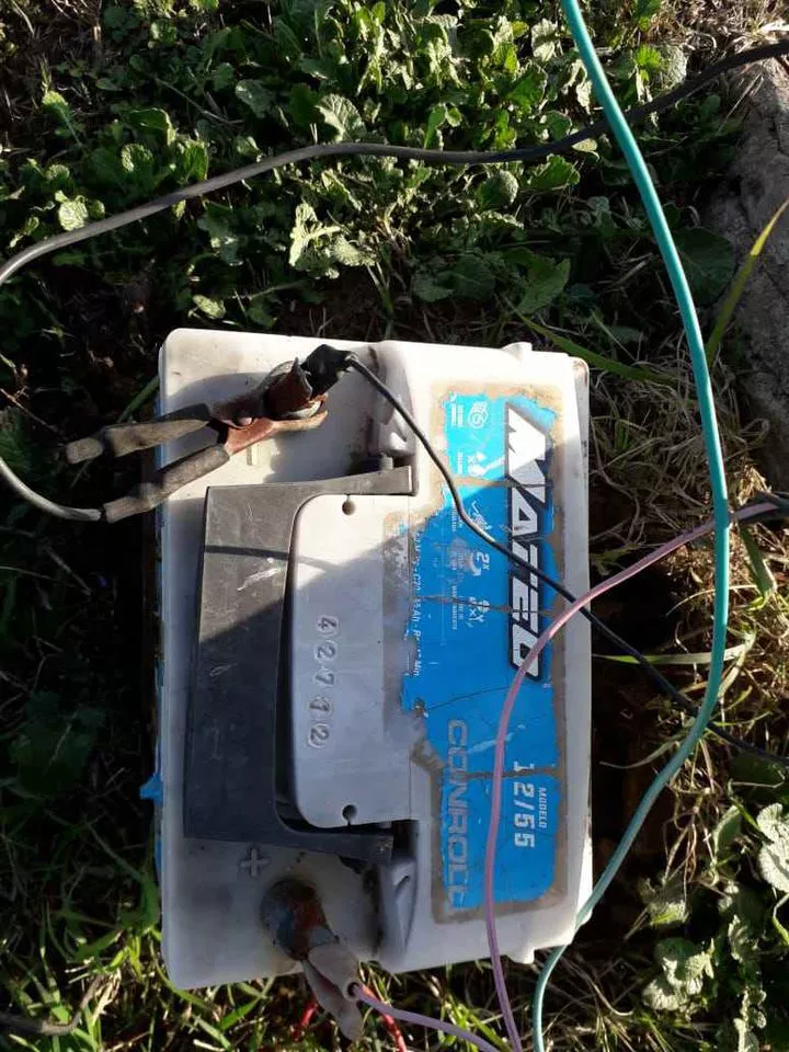 241911722_4732821956750803_763097036619753371_n