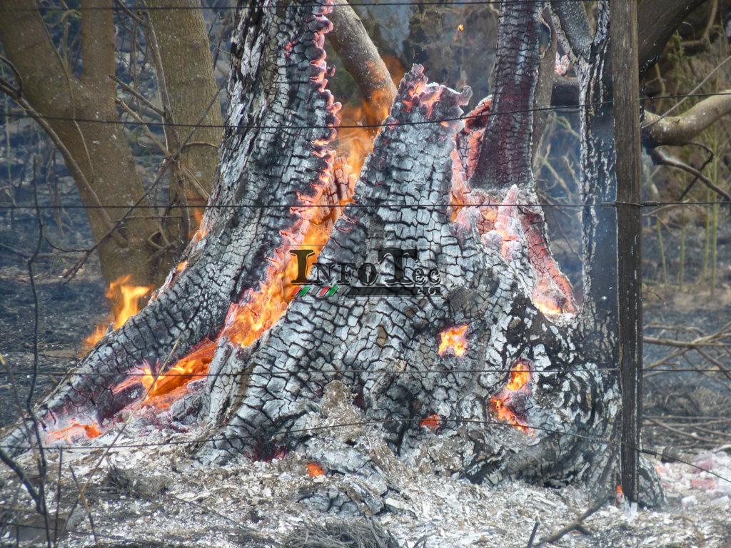 P1320332 (FILEminimizer)