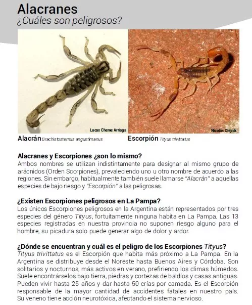 alacran la pampa