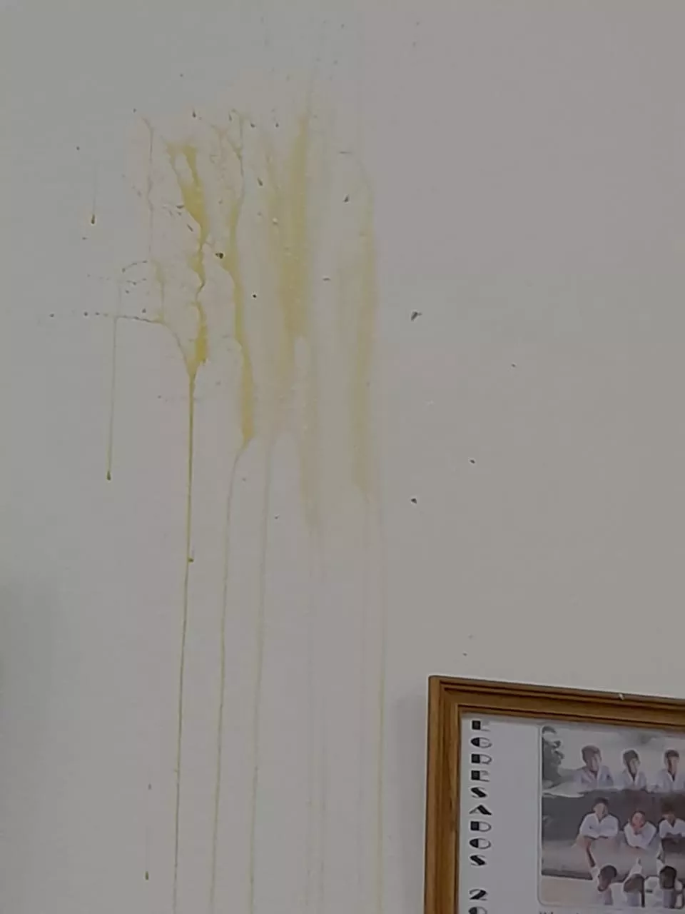 VANDALISMO ESCUELA VAN PRAET 6