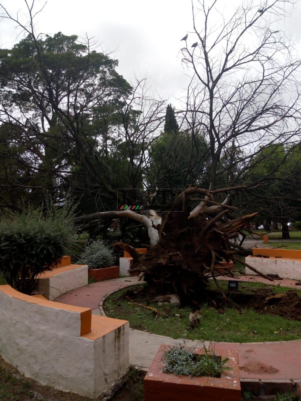 d2cb104f-3f0c-41a1-9ce4-abb0f5a1825f