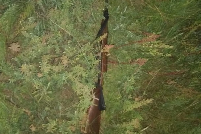 fbe7e58e-6000-49ce-98d1-73860da8aa7a-fit-666x444