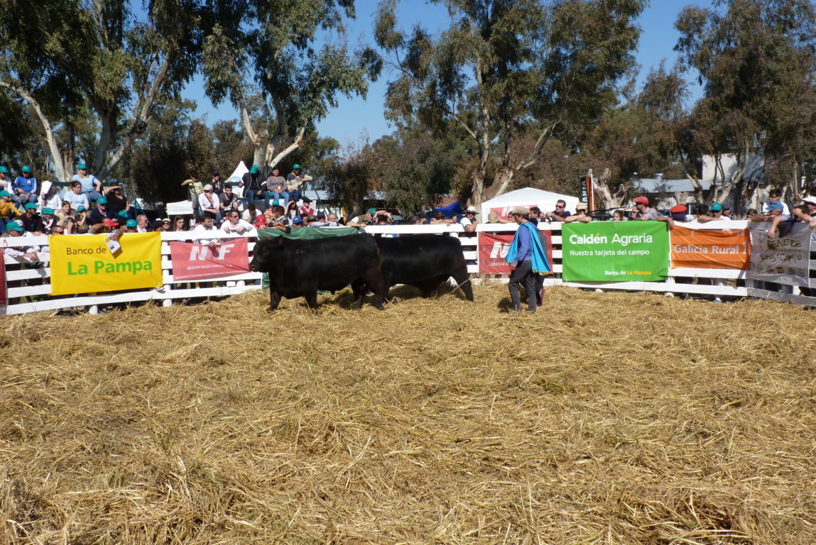 P1410872 (FILEminimizer)