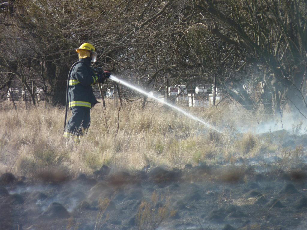 P1050798 (FILEminimizer)