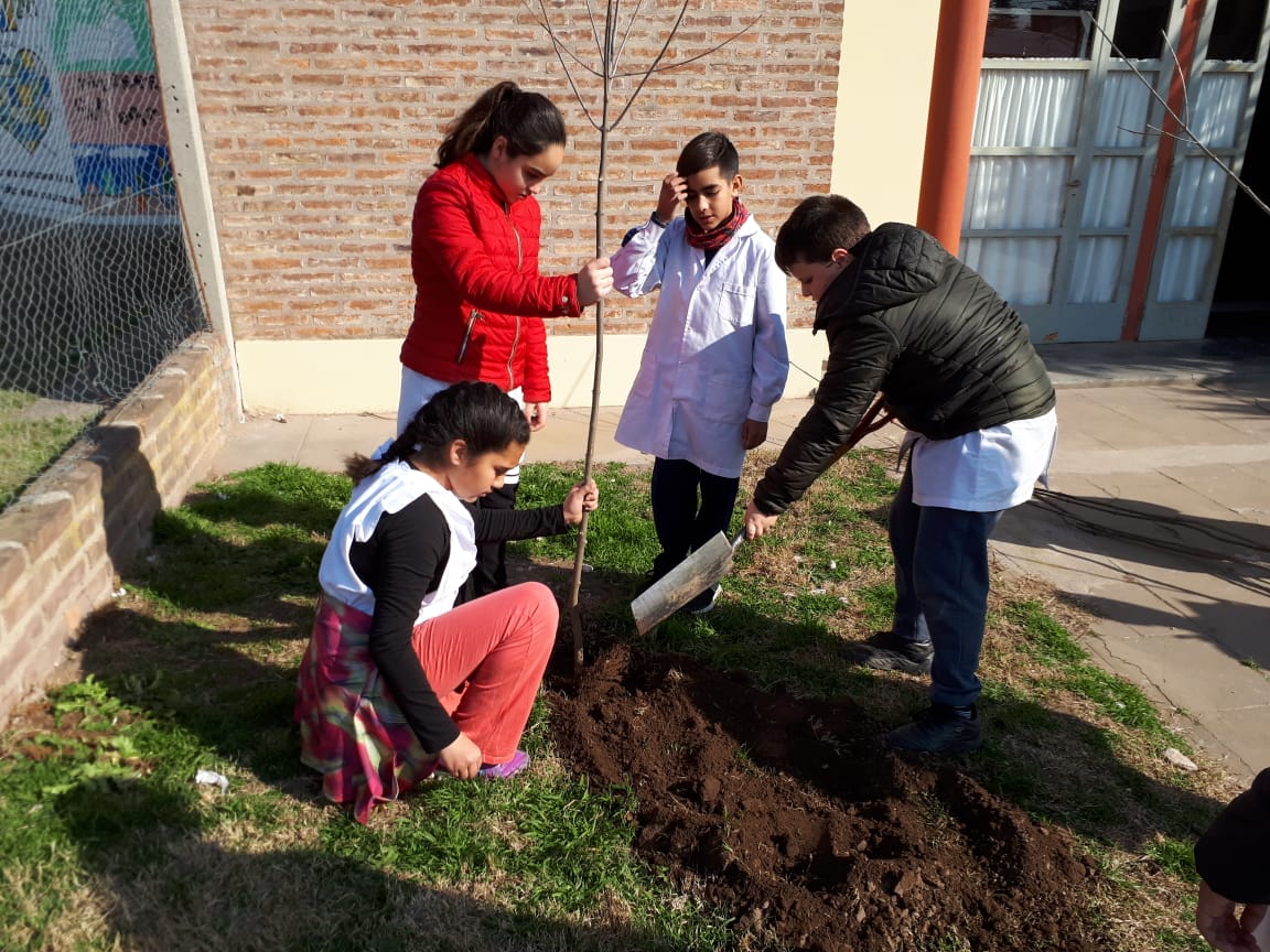 01cfa044-9ab9-4b4a-bedb-fb1e792b221d