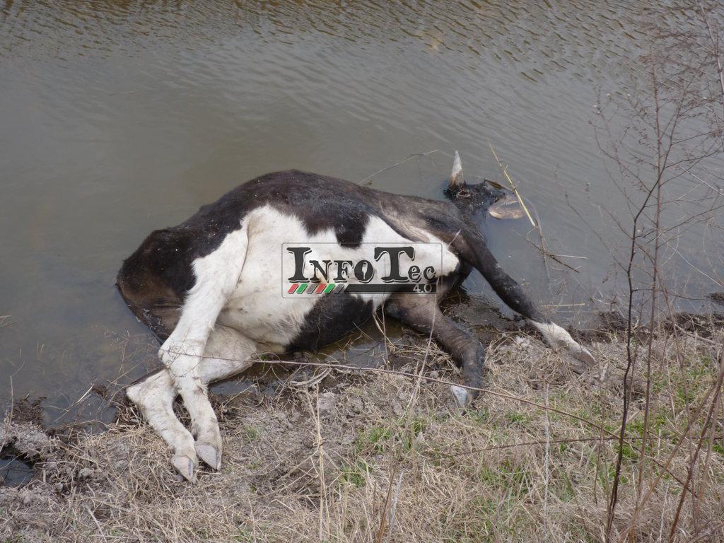 P1250392 (FILEminimizer)