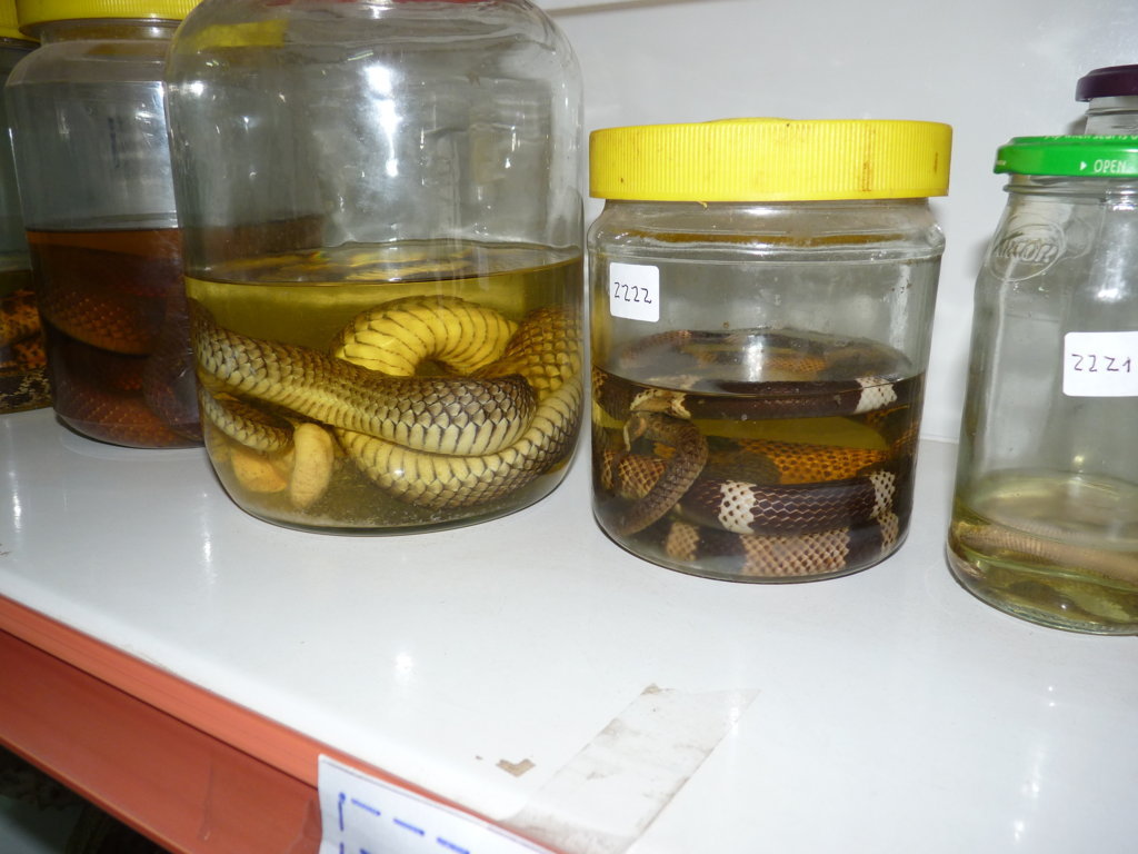 P1190666 (FILEminimizer)