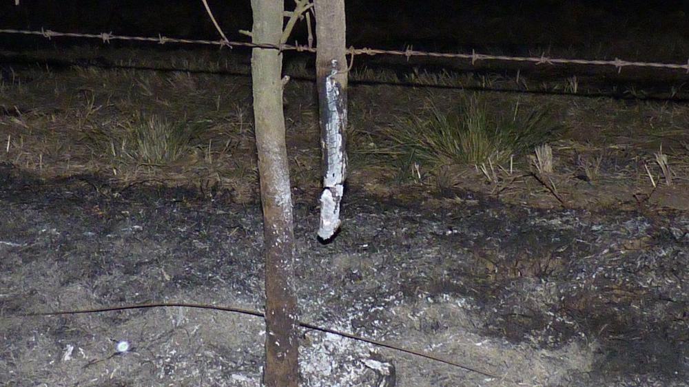 P1050703 (FILEminimizer)