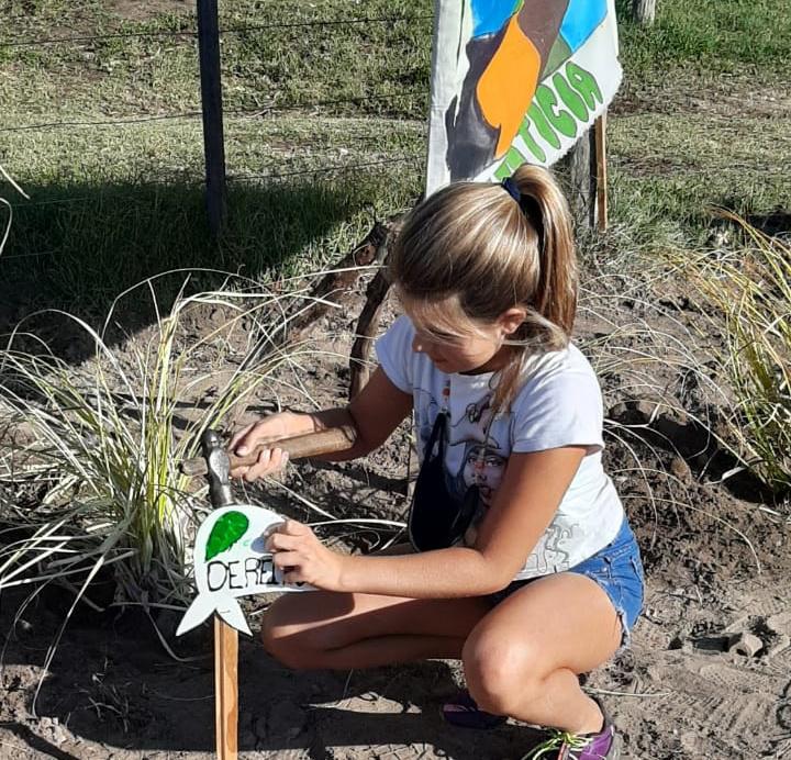 c8607646-834e-49ea-8c5e-d23c466d96c0