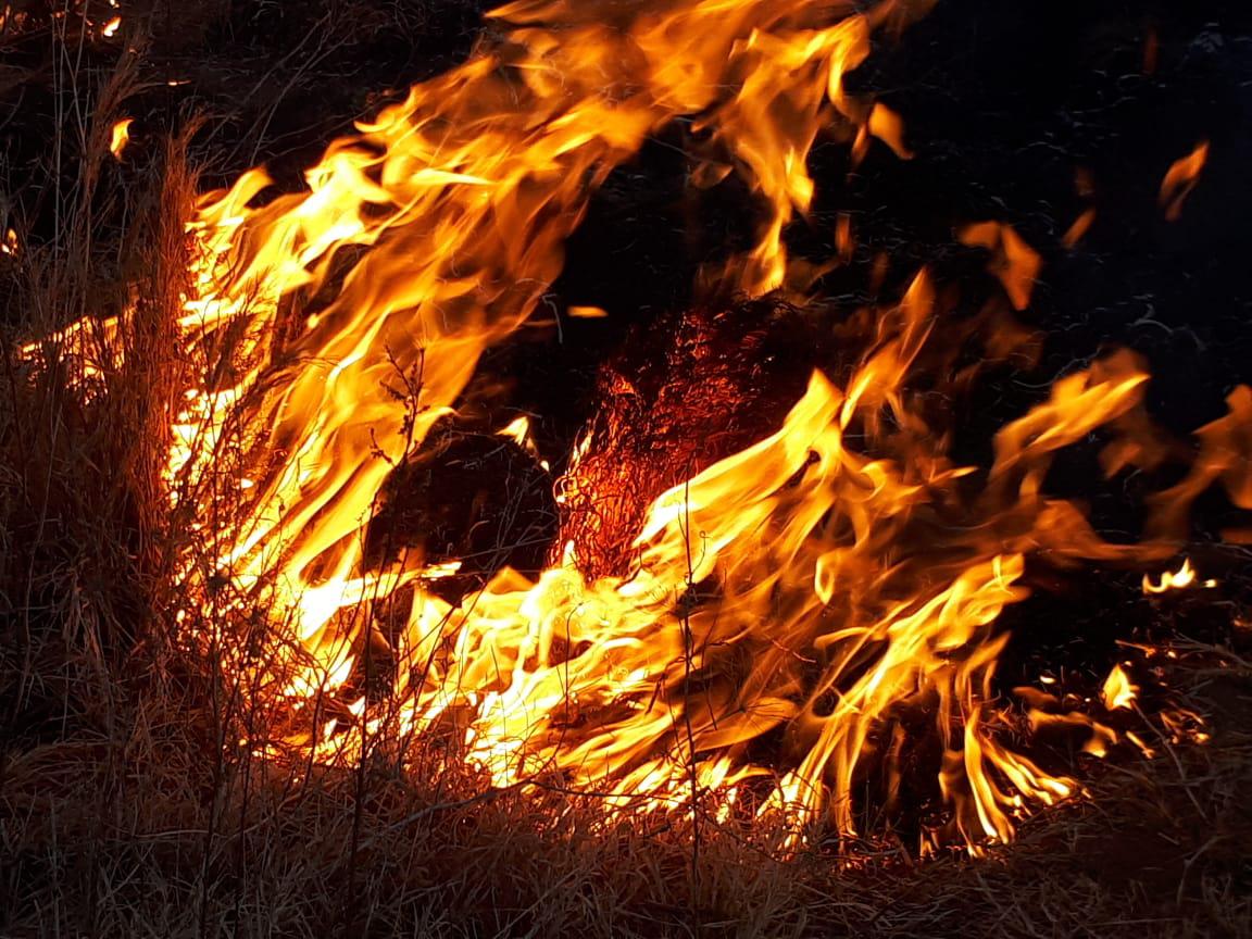 c92c369b-4c2a-4ed5-a52c-c9305f3af7bc