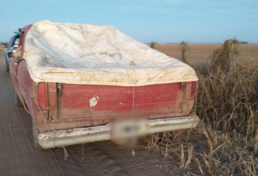 13f4334e-8701-437e-99c6-abab65fd0b19