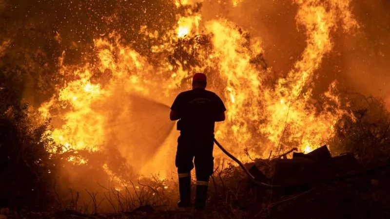 _119836815_hi069284827