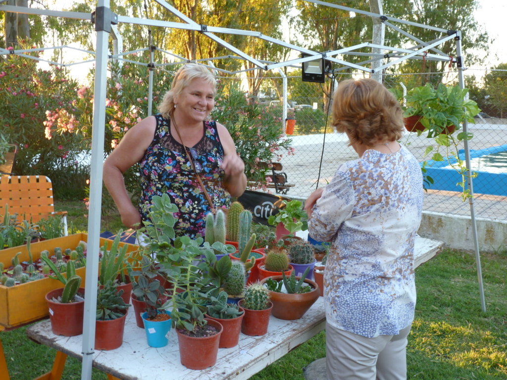 P1330099 (FILEminimizer)