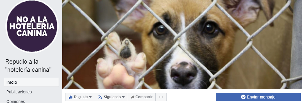 REPUDIO HOTEREA CANINA