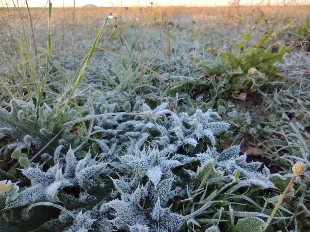 IMG_20210505_080658667