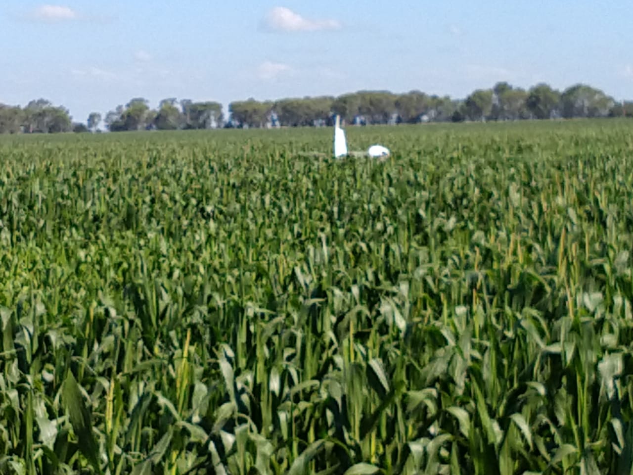 022cb465-235b-49ba-9895-e9894fded51a