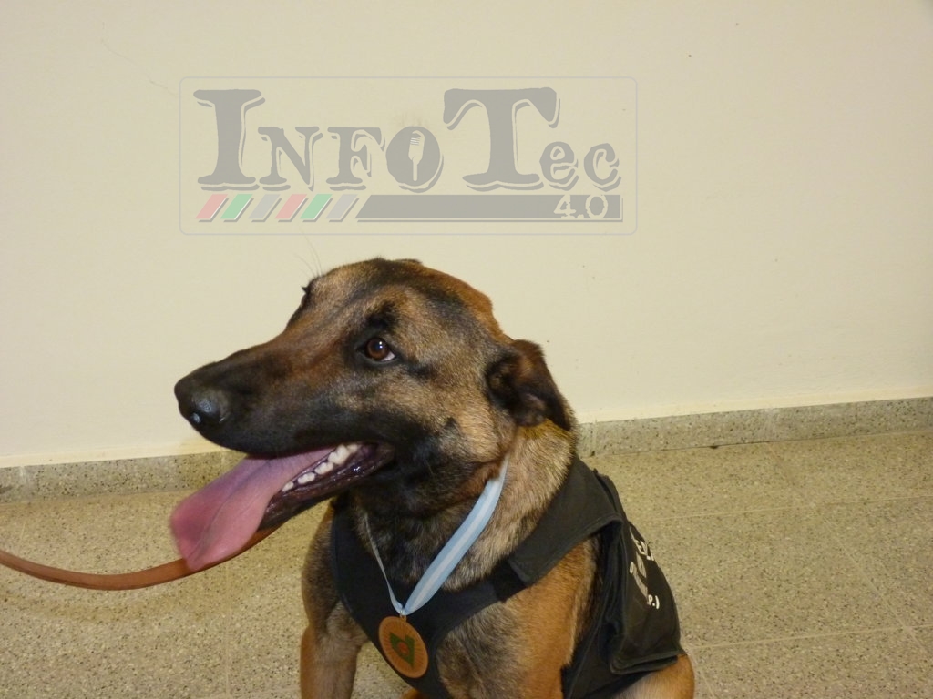 P1260317 (FILEminimizer)E