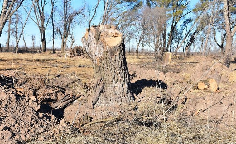 NATATORIO RECUPERACION 5