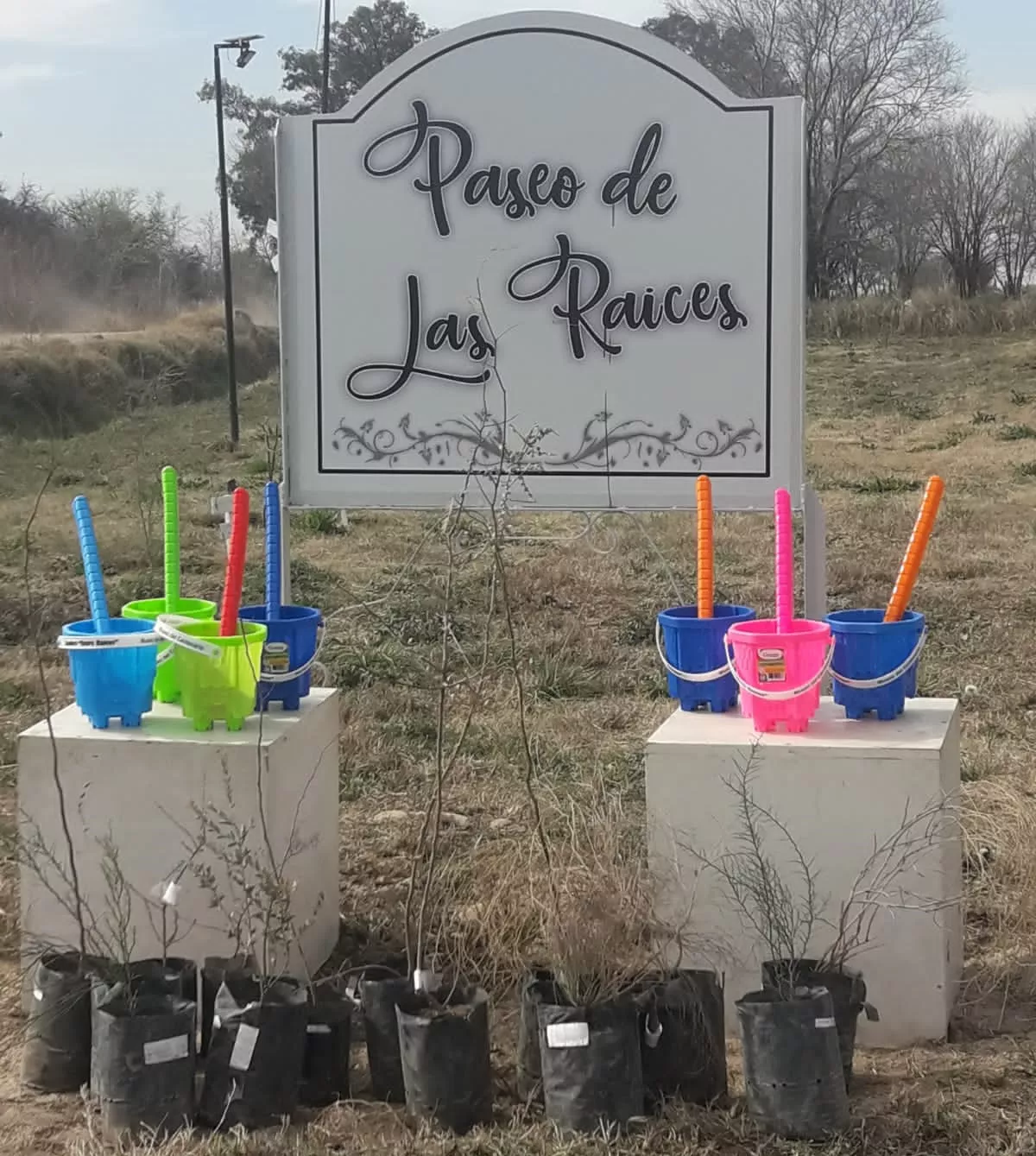 552d5dab-3424-412b-8fc2-fd85d59d9f68