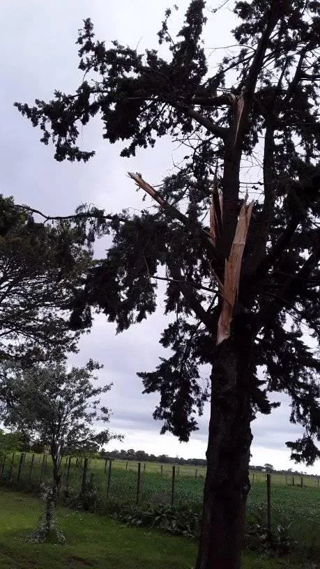 243132040_212143321012206_6816477876648967393_n